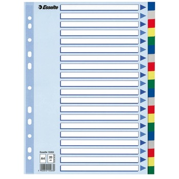 Index A4 Esselte, Plastic, cu 20 Separatoare Colorate Index A4 Esselte, Plastic, cu 20 Separatoare Colorate