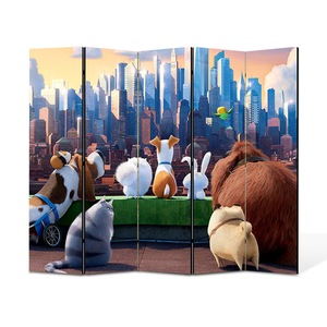 Pereti despartitori si paravane