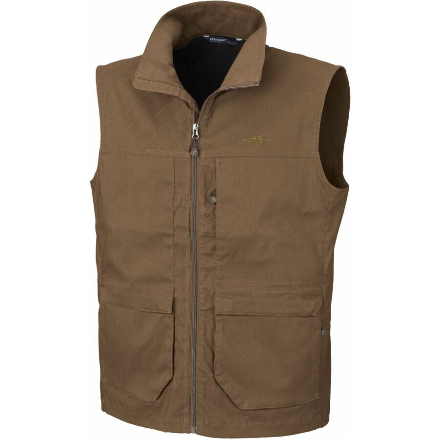 Vesta Blaser Summer Eddy