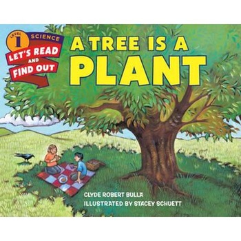 Tree is a Plant Tree is a Plant