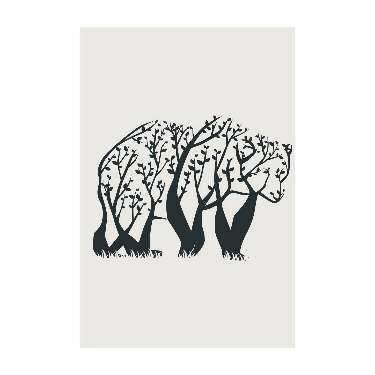 Poster -50x70 cm -Copacul urs