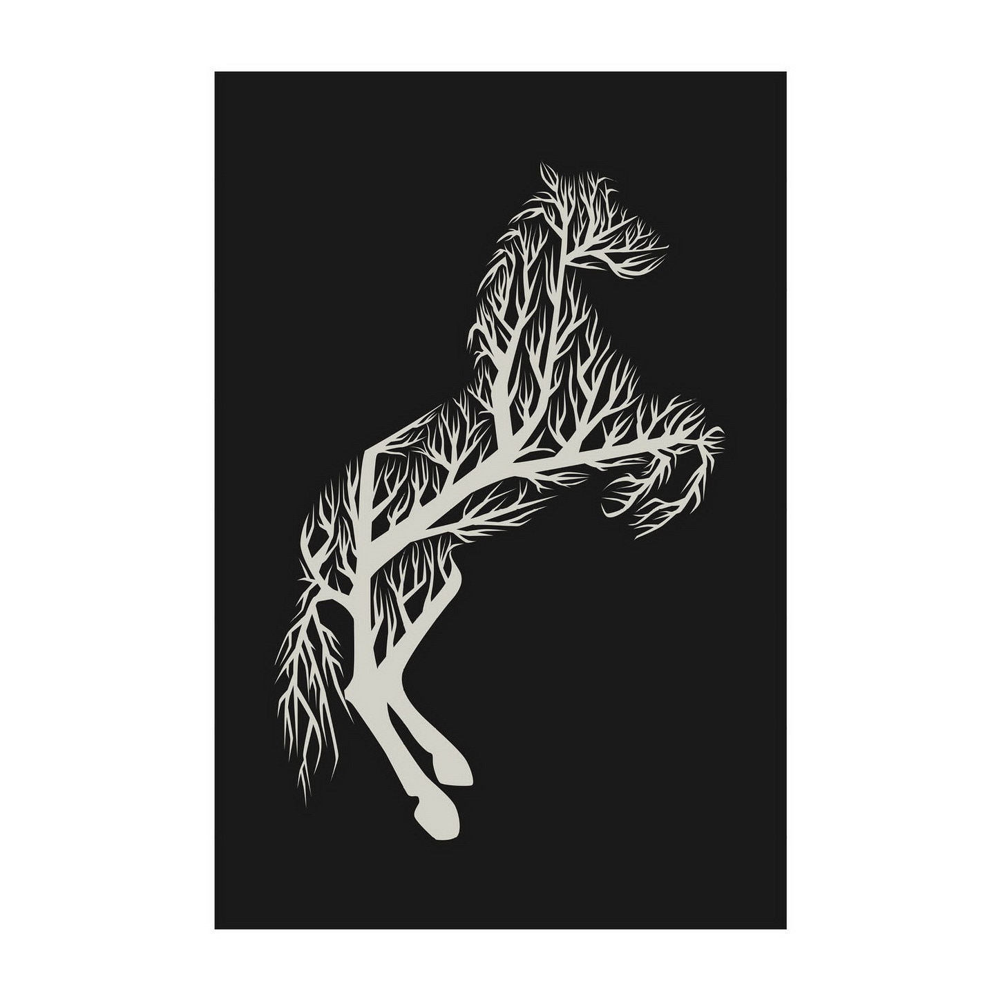 Poster -50x70 cm -Copacul cal