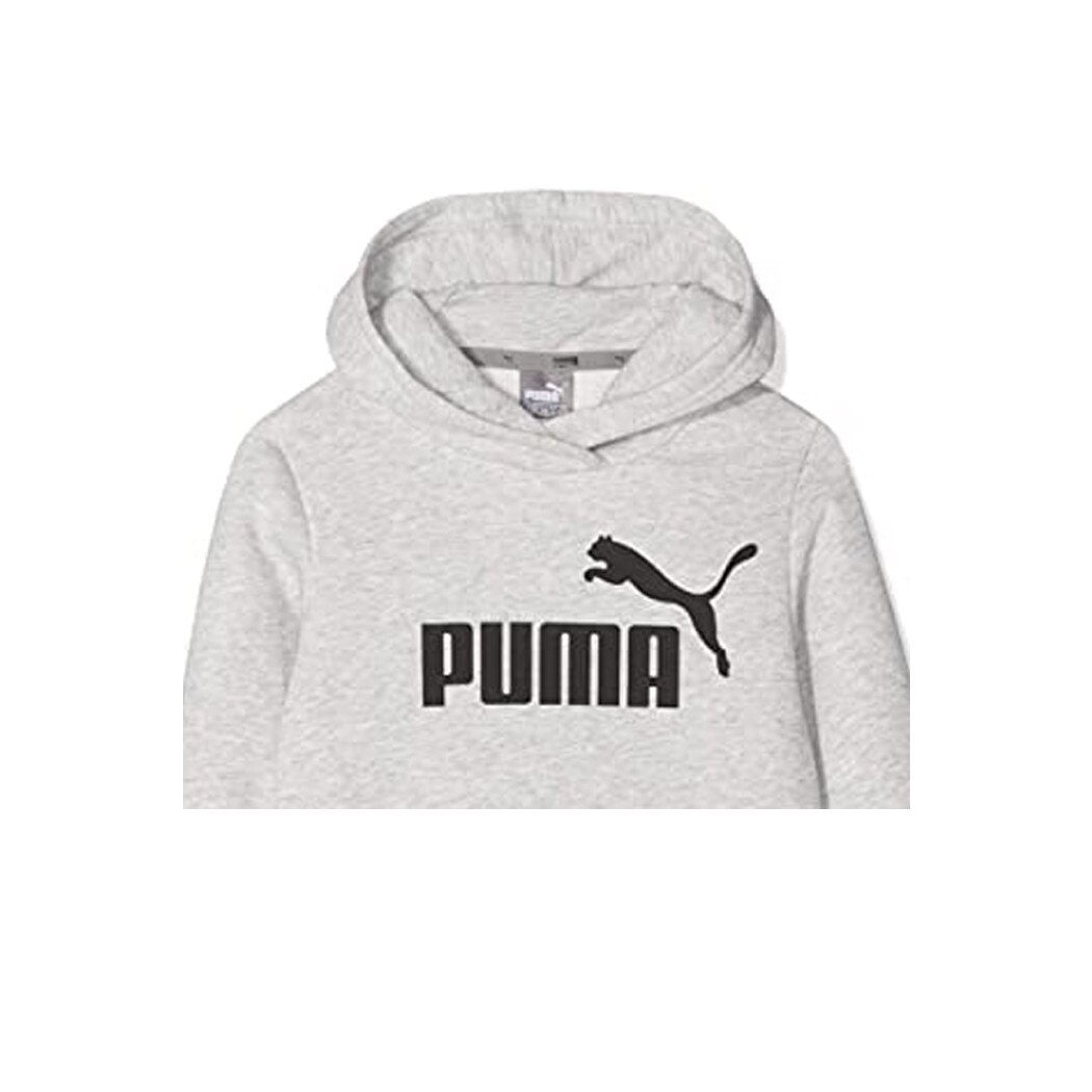 puma ess hoody