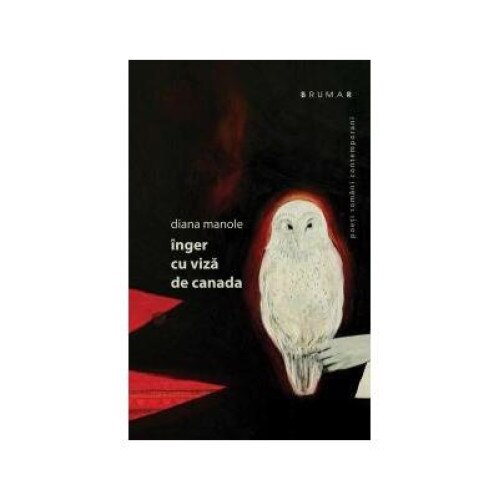 Inger cu viza de canada, Diana Manole