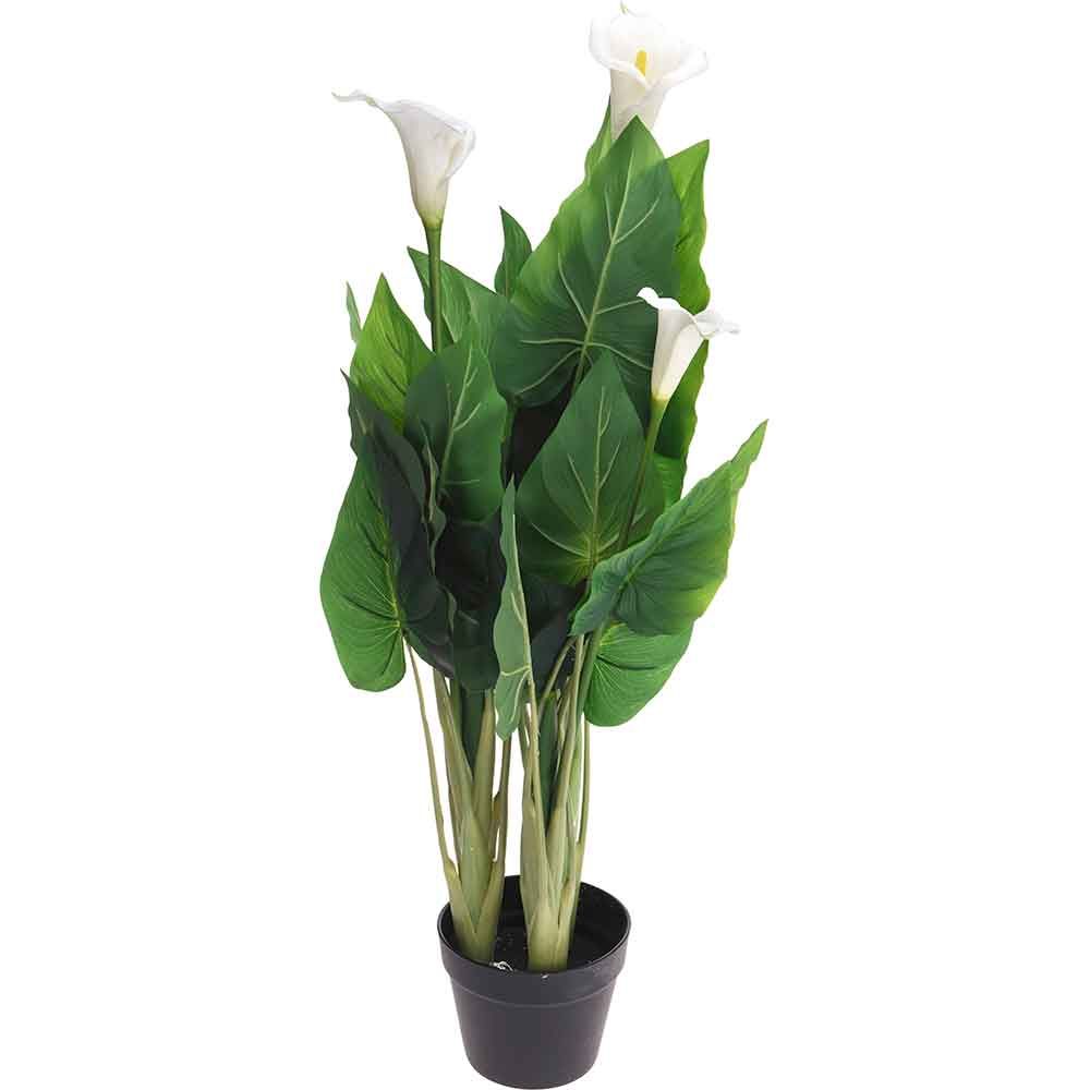 Planta decor calla Lily 100 cm, d 55 cm, verde/negru/alb 