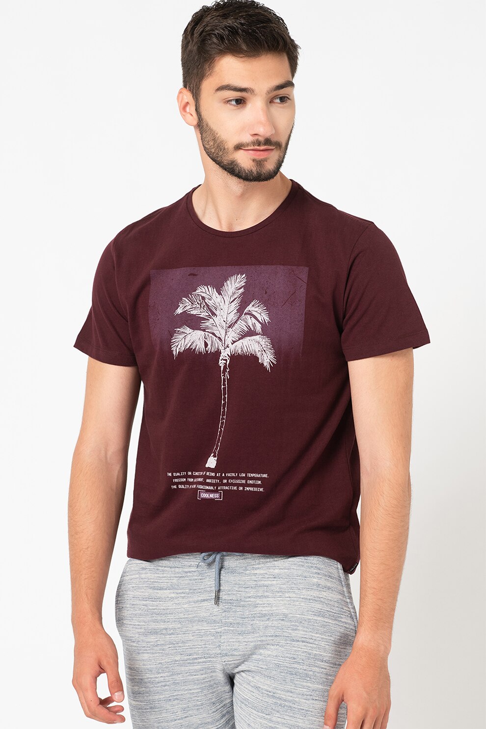 BLEND, Tricou cu decolteu la baza gatului si imprimeu grafic, Violet pruna/Alb