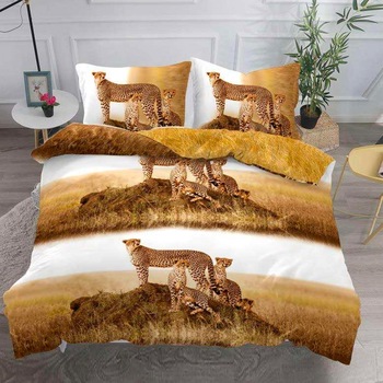 Lenjerie de pat, Pucioasa, Bumbac Satinat, 4 piese, 2 Persoane, 666/C, 200 x 230cm Lenjerie de pat, Pucioasa, Bumbac Satinat, 4 piese, 2 Persoane, 666/C, 200 x 230cm