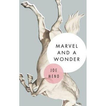 Marvel and A Wonder Marvel and A Wonder