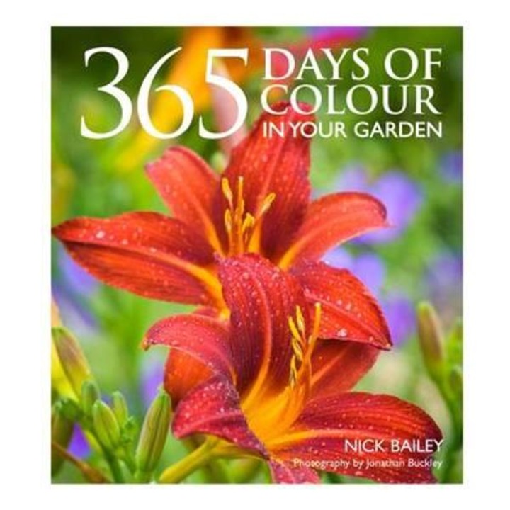 365 Days of Colour