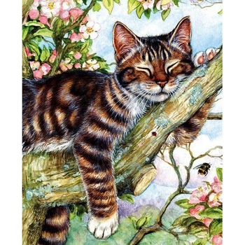 Set pictura pe numere, Tablou 929 Picteaza Dupa Numere, Pisica in copac, 40x50 cm - Krista® Set pictura pe numere, Tablou 929 Picteaza Dupa Numere, Pisica in copac, 40x50 cm - Krista®