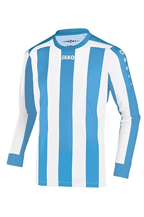 Мъжка футболна блуза Jako 4362, С дълъг ръкав, Бял/Син
