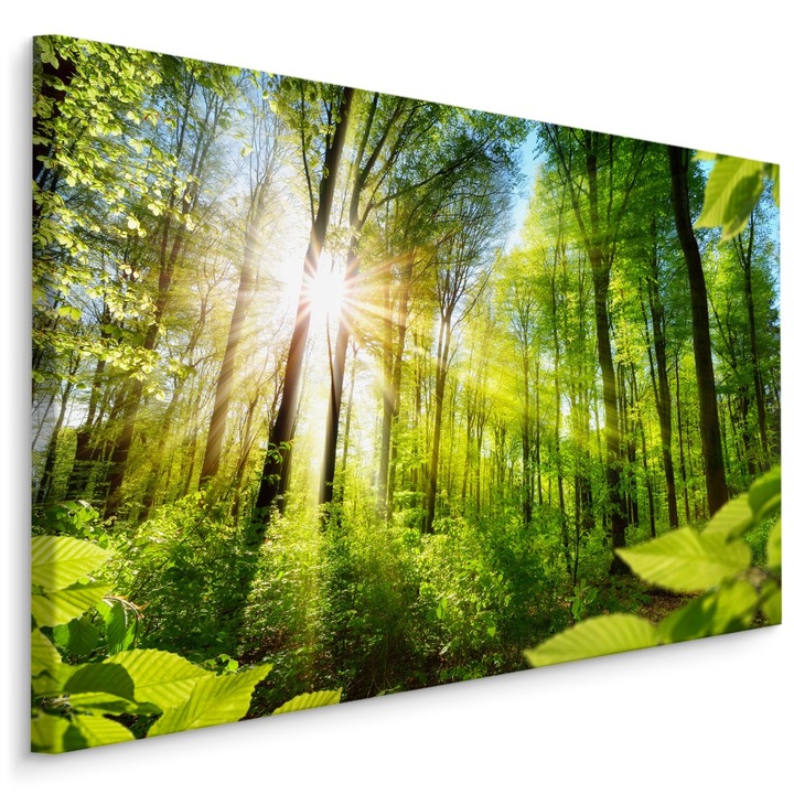 Tablou pentru Dormitor Rasarit Padure Efect 3D 90cm x 60cm Soare, Vedere, Peisaj, Creative decor, Living