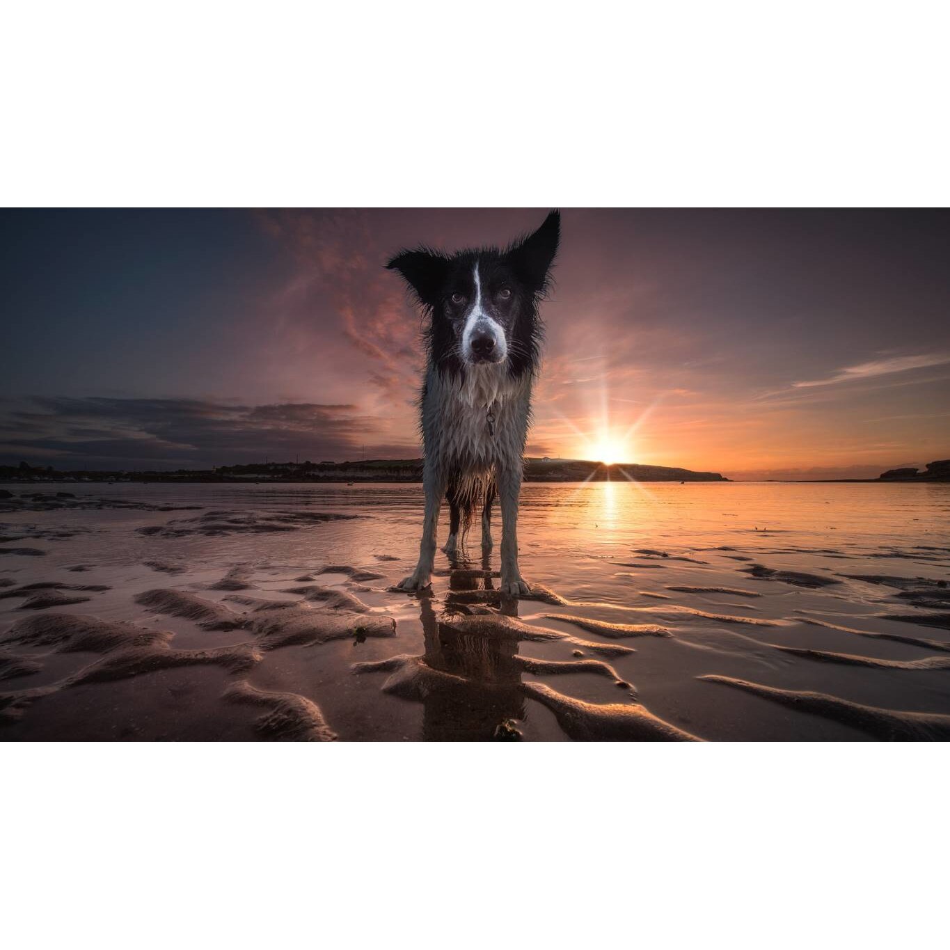 Tablou canvas 90x50 cm, Catei model 76