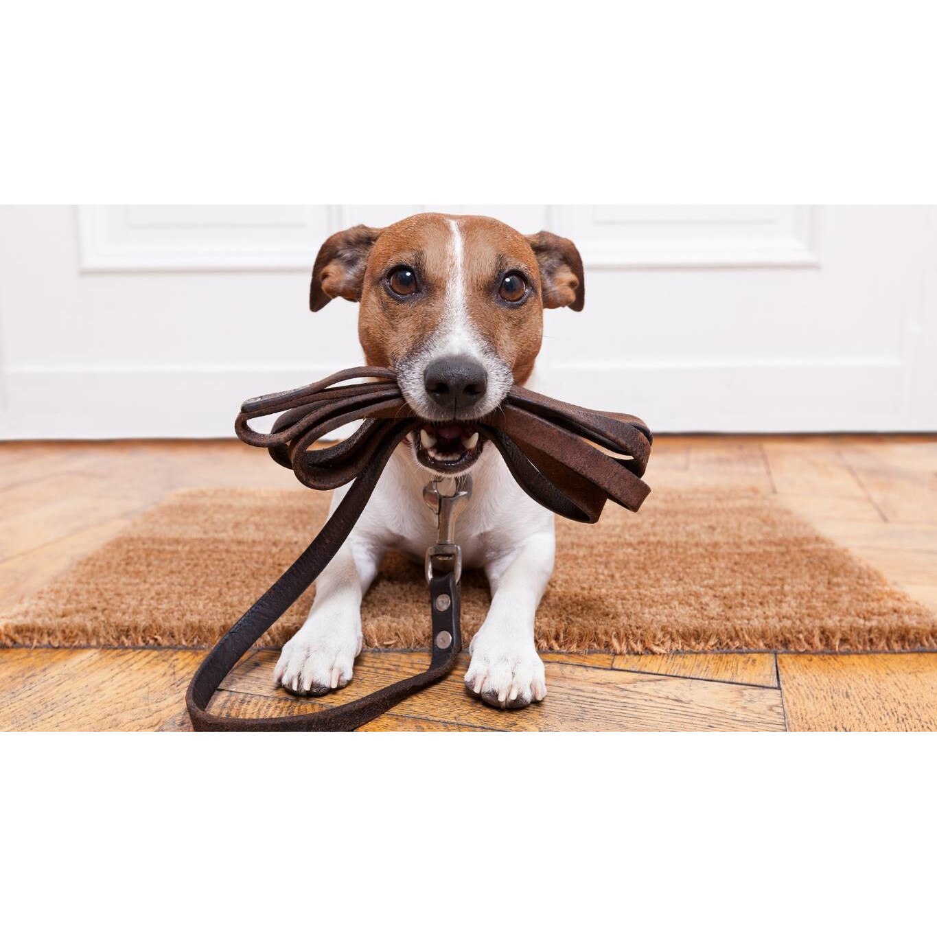 Tablou canvas 75x50 cm, Catei model 25