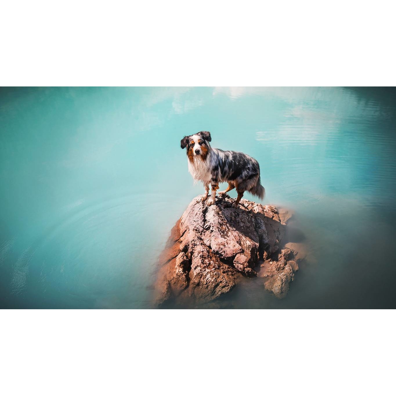 Tablou canvas 75x50 cm, Catei model 21