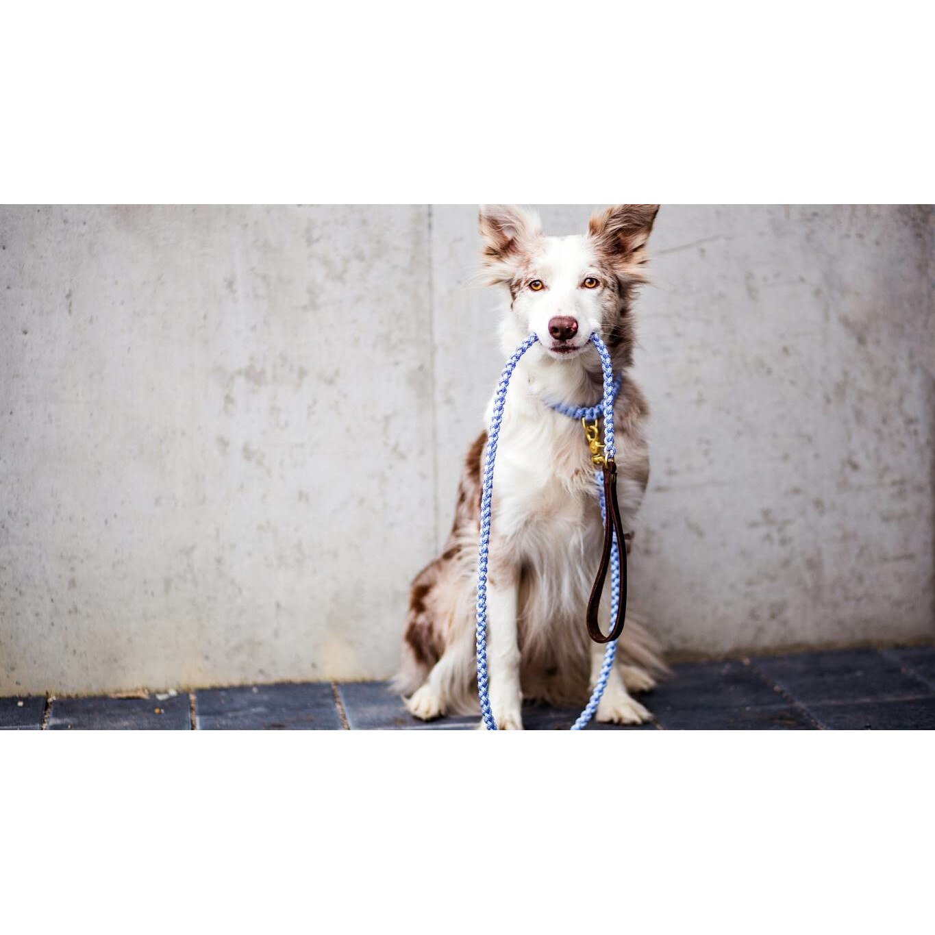 Tablou canvas 90x50 cm, Catei model 59