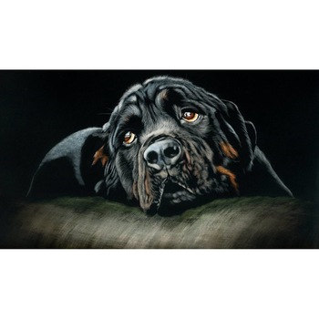 Tablou canvas 90x50 cm, Catei model 89 Tablou canvas 90x50 cm, Catei model 89