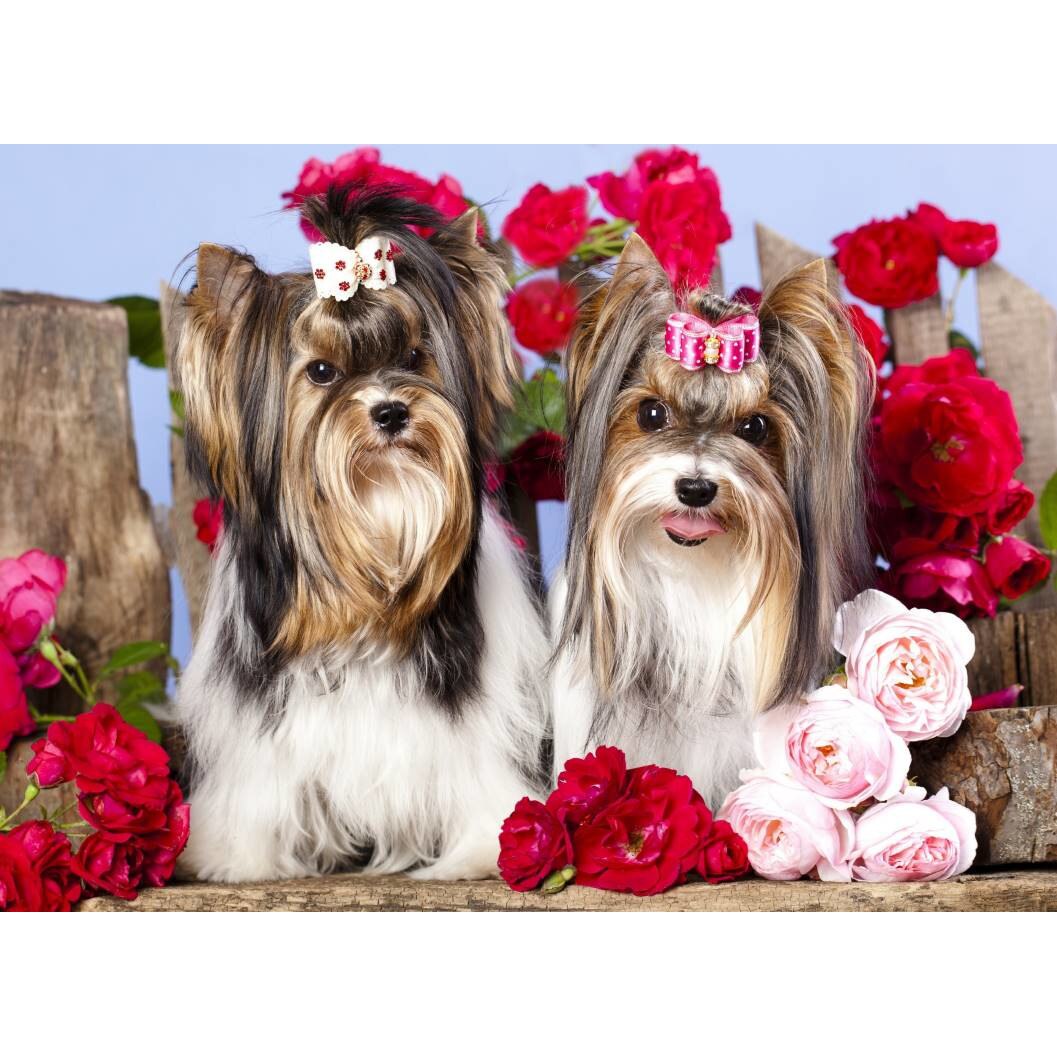 Tablou canvas 75x50 cm, Catei model 103