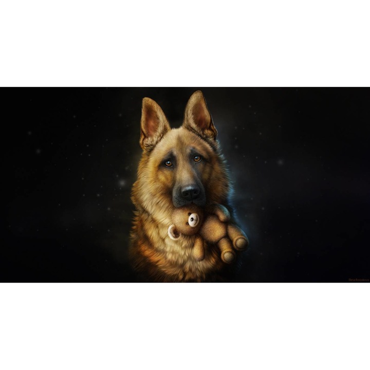 Tablou canvas 40x30 cm, Catei model 109