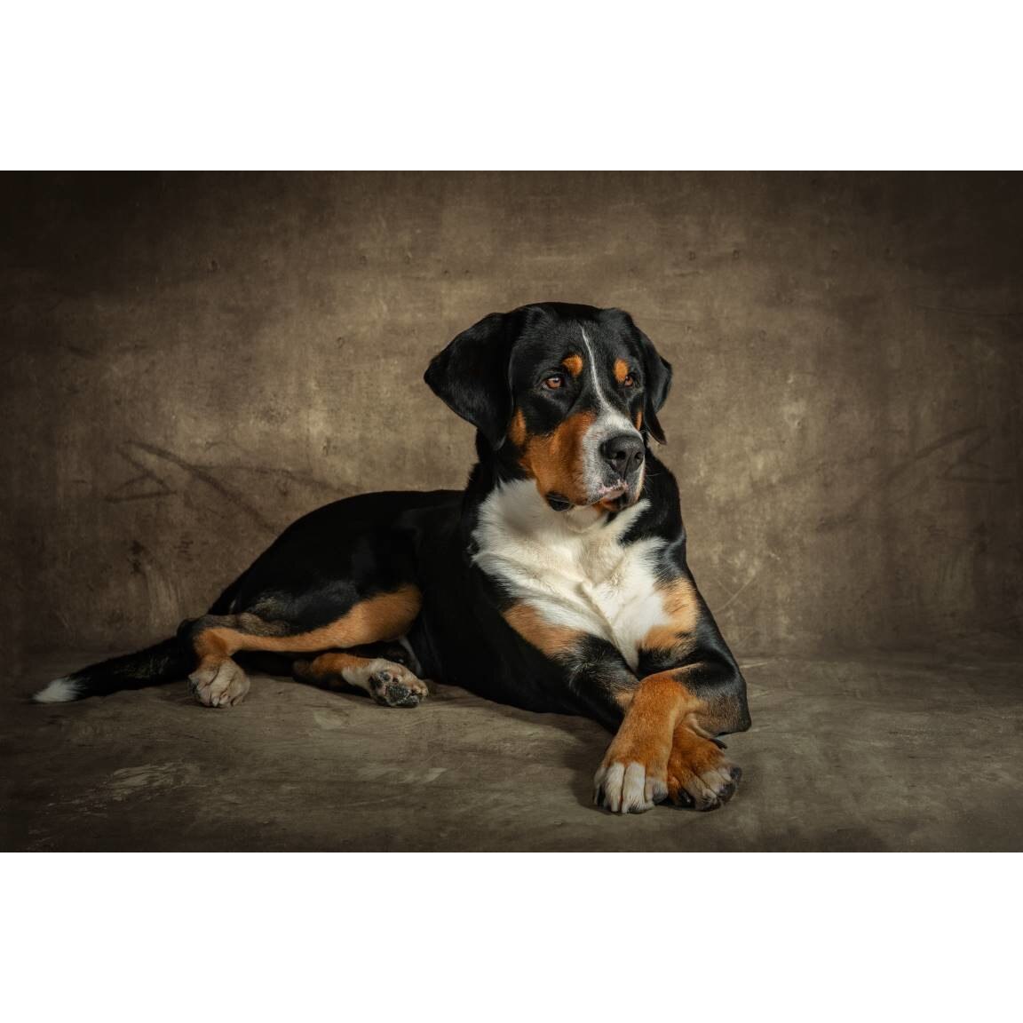 Tablou canvas 50x35 cm, Catei model 101