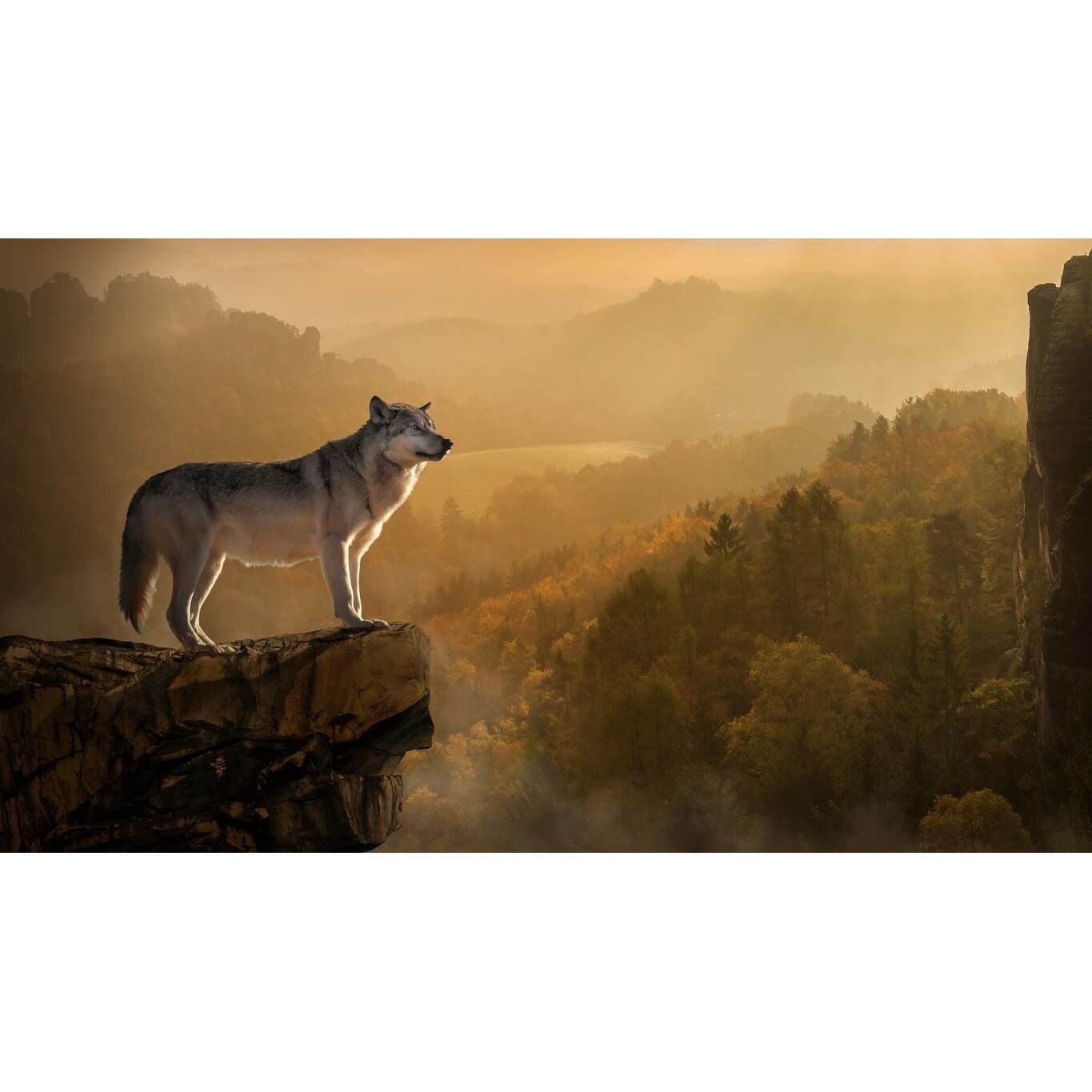 Tablou canvas 90x50 cm, Catei model 110