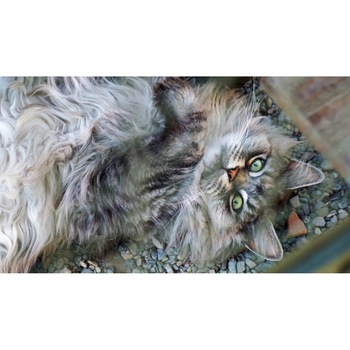 Tablou canvas 90x50 cm, Pisici model 67 Tablou canvas 90x50 cm, Pisici model 67