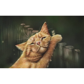 Tablou canvas 75x50 cm, Pisici model 171 Tablou canvas 75x50 cm, Pisici model 171