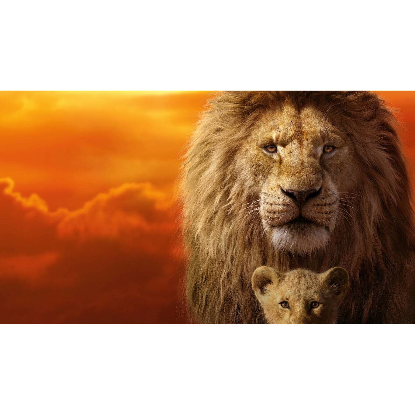 Tablou canvas 90x50 cm, Animale model 9