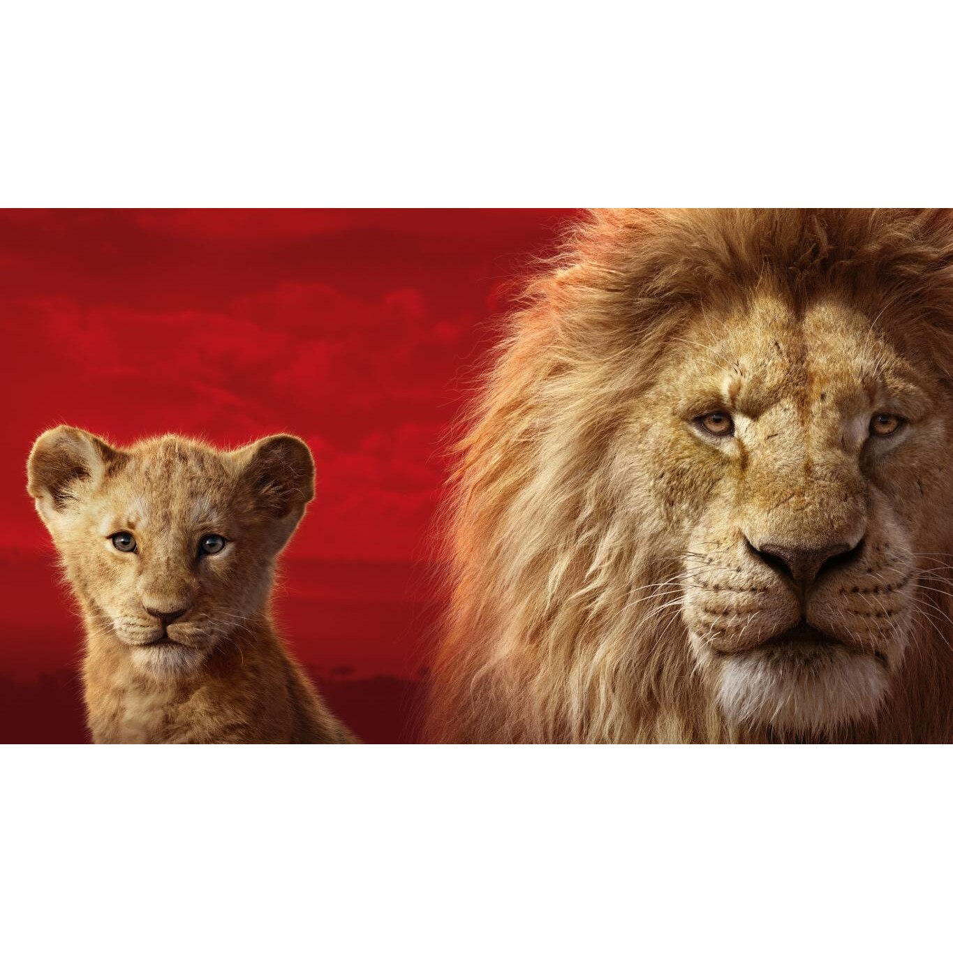 Tablou canvas 90x50 cm, Animale model 16