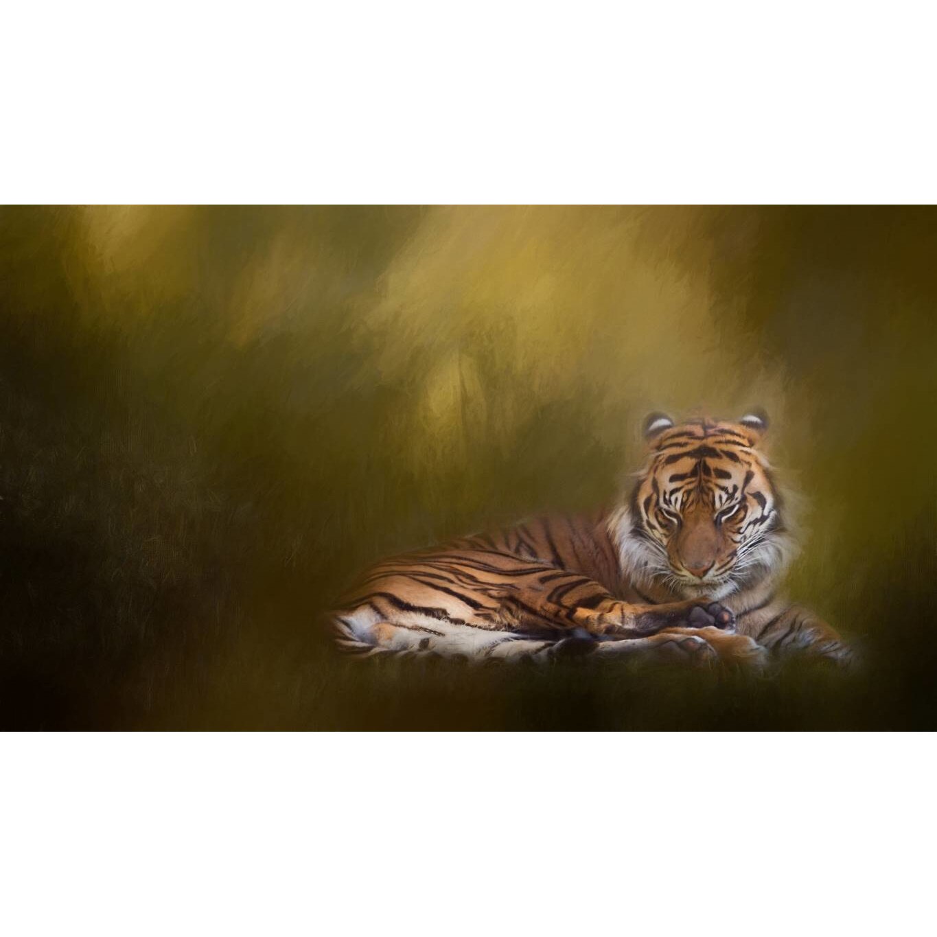 Tablou canvas 50x35 cm, Animale model 105