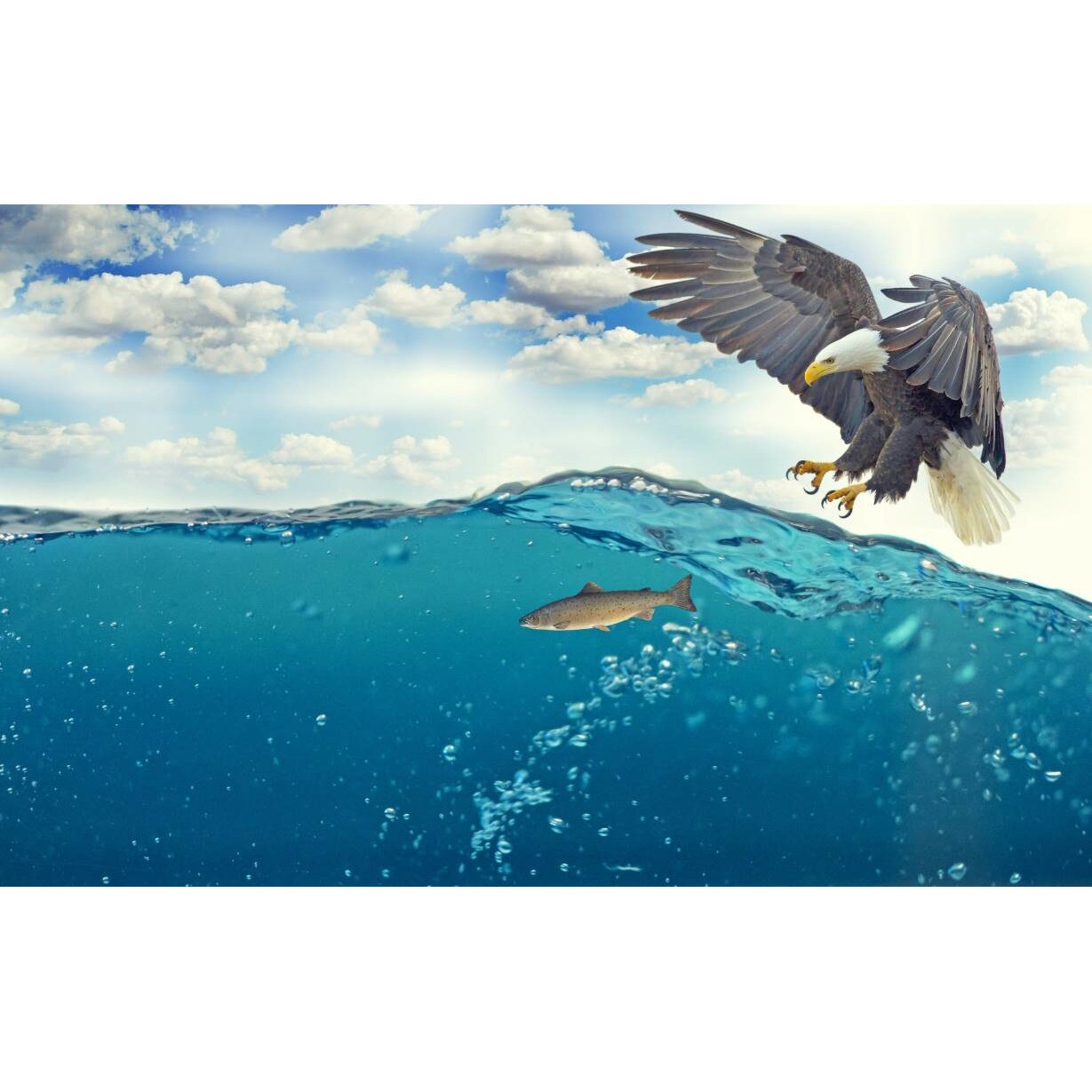 Tablou canvas 50x35 cm, Animale model 84