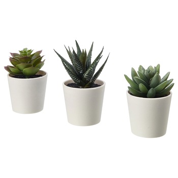 Set 3 plante decorative artificiale in ghiveci, interior/exterior, Suculent, 6 cm Set 3 plante decorative artificiale in ghiveci, interior/exterior, Suculent, 6 cm