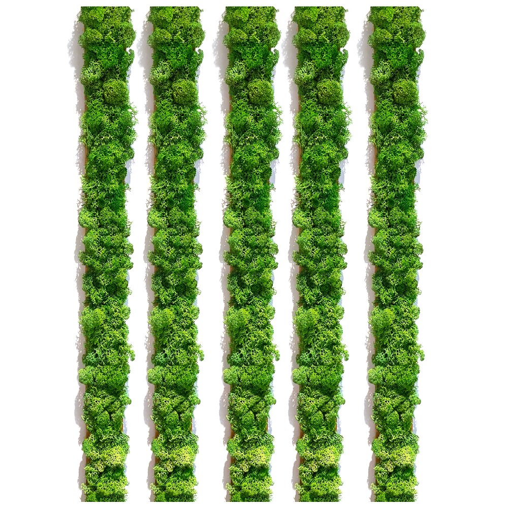 Set Profile din lemn cu muschi decorativ, 35x4 cm, 5 buc