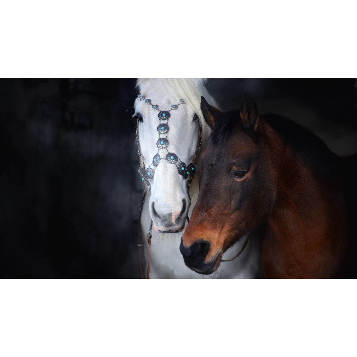 Tablou canvas 50x35 cm, Animale model 132