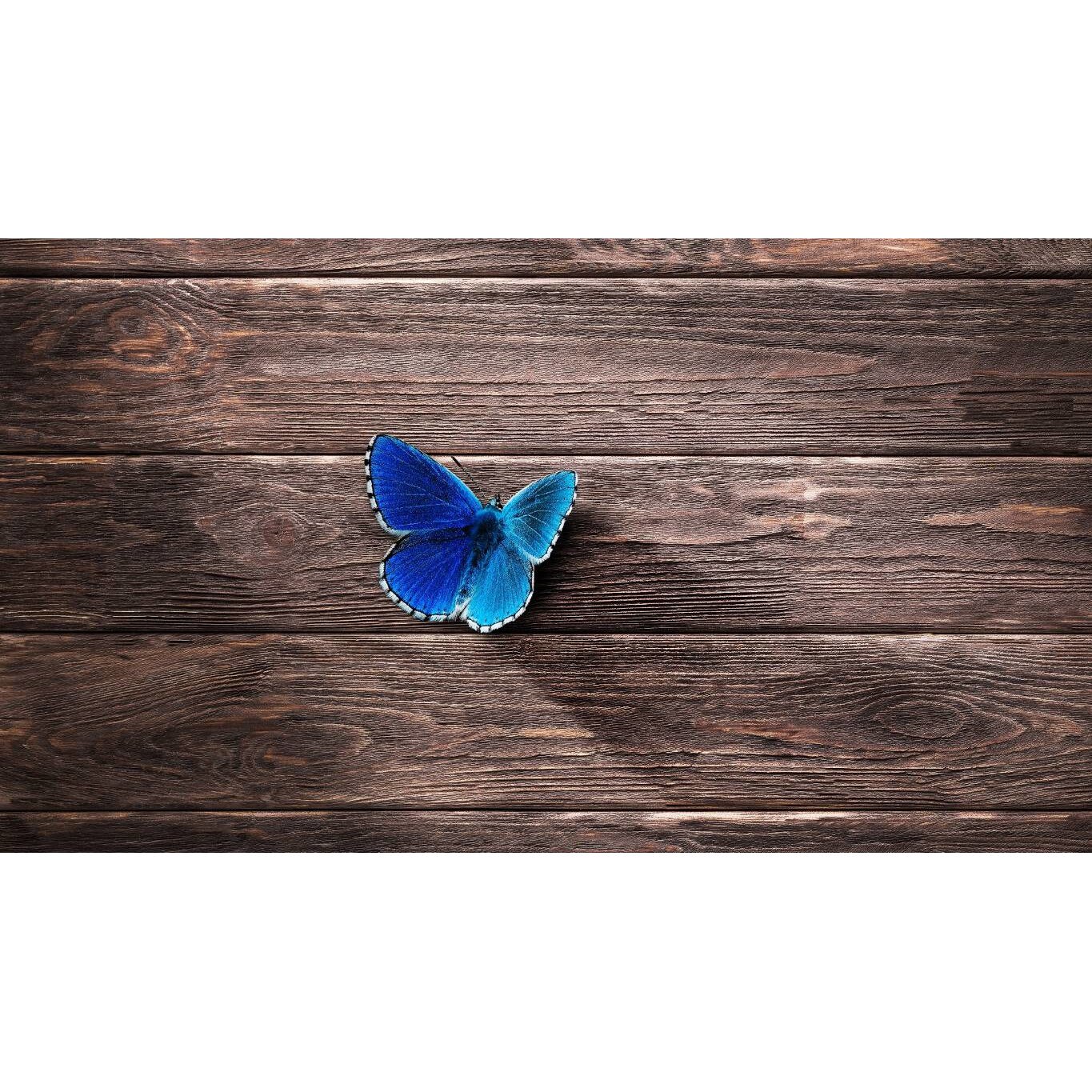 Tablou canvas 75x50 cm, Animale model 155