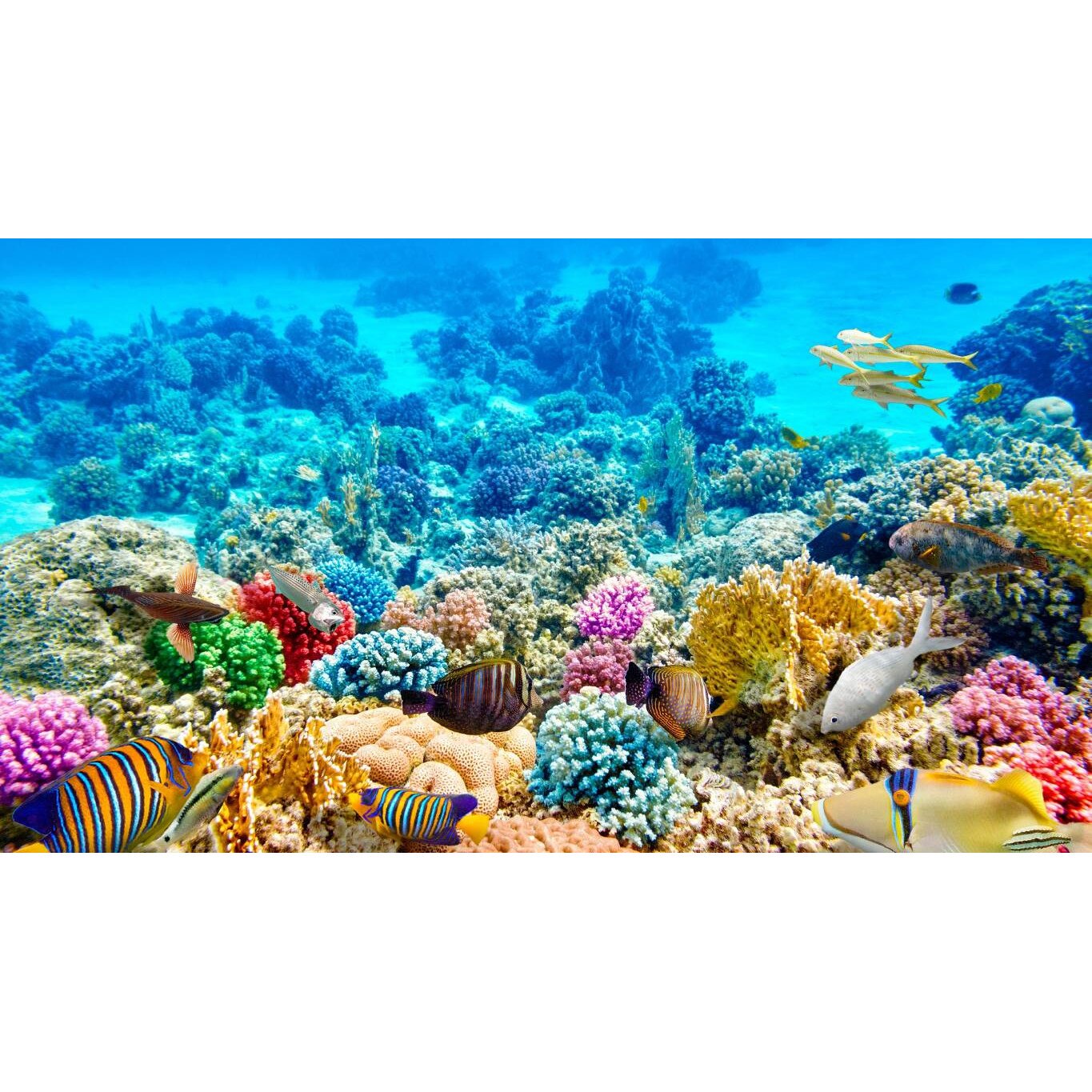 Tablou canvas 90x50 cm, Animale model 200