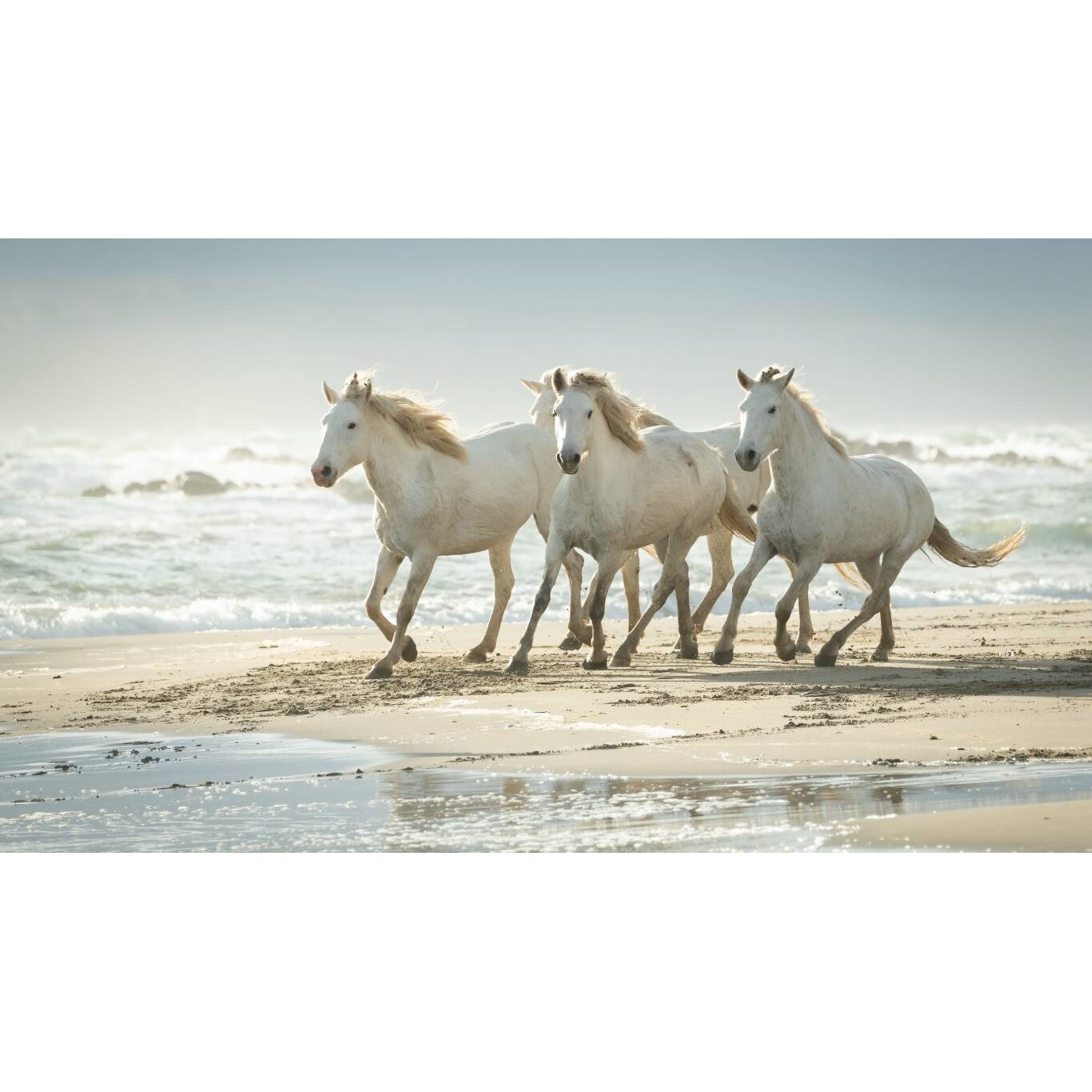 Tablou canvas 75x50 cm, Animale model 251