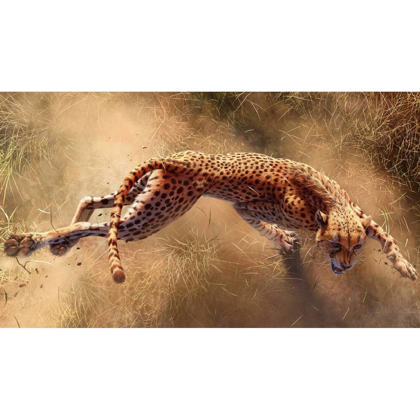 Tablou canvas 90x50 cm, Animale model 336