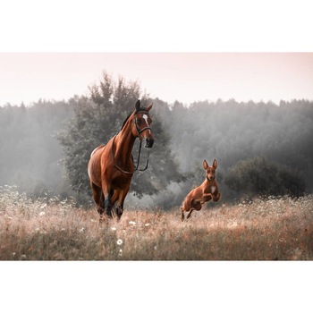 Tablou canvas 50x35 cm, Animale model 390 Tablou canvas 50x35 cm, Animale model 390