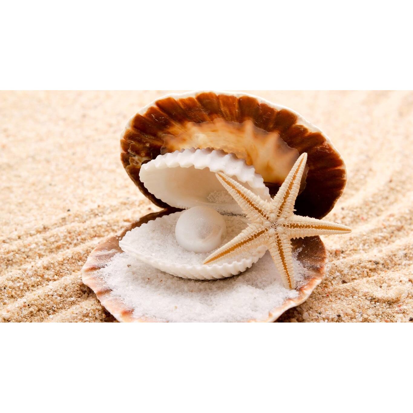 Tablou canvas 75x50 cm, Animale model 418