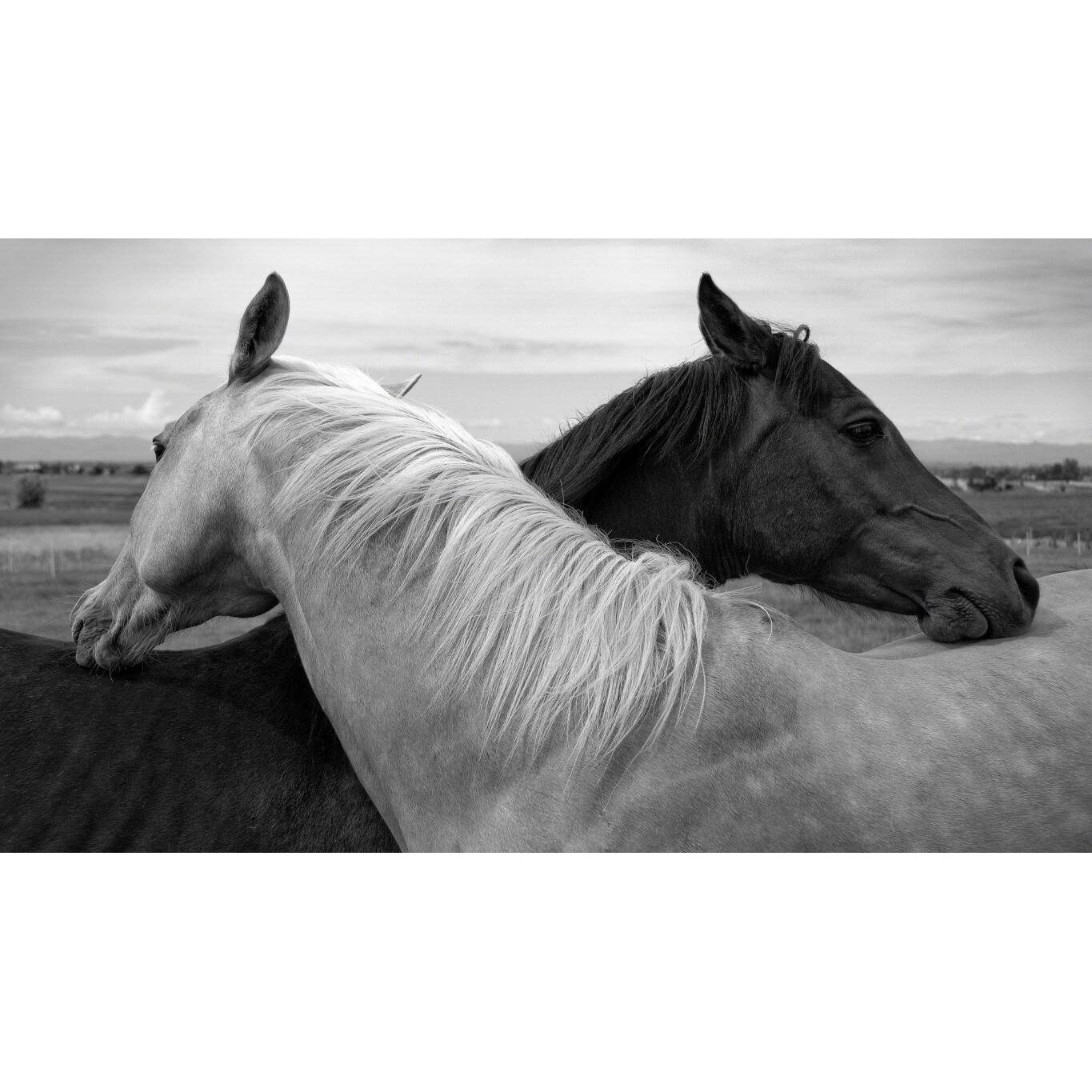 Tablou canvas 75x50 cm, Animale model 460