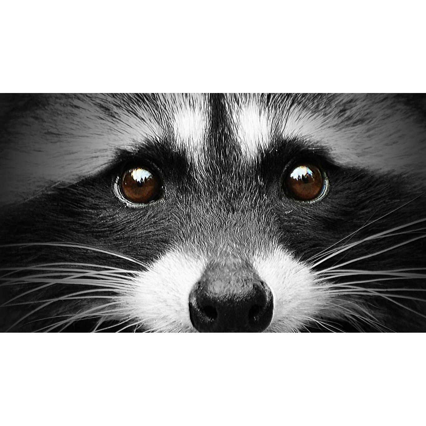 Tablou canvas 50x35 cm, Animale model 516