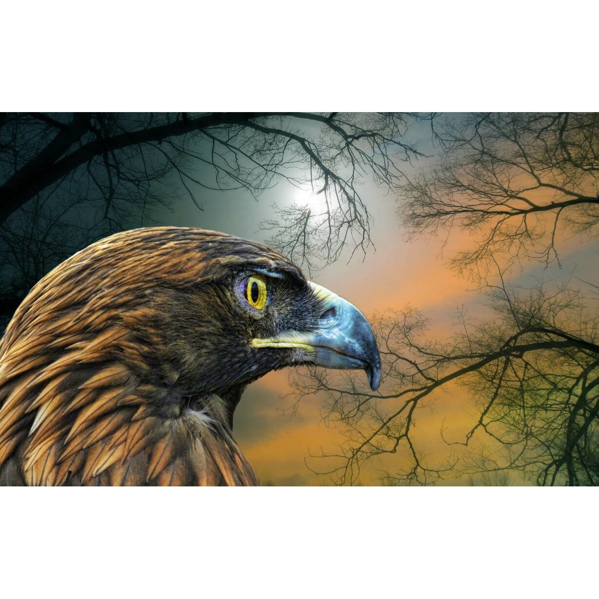 Tablou canvas 75x50 cm, Animale model 549