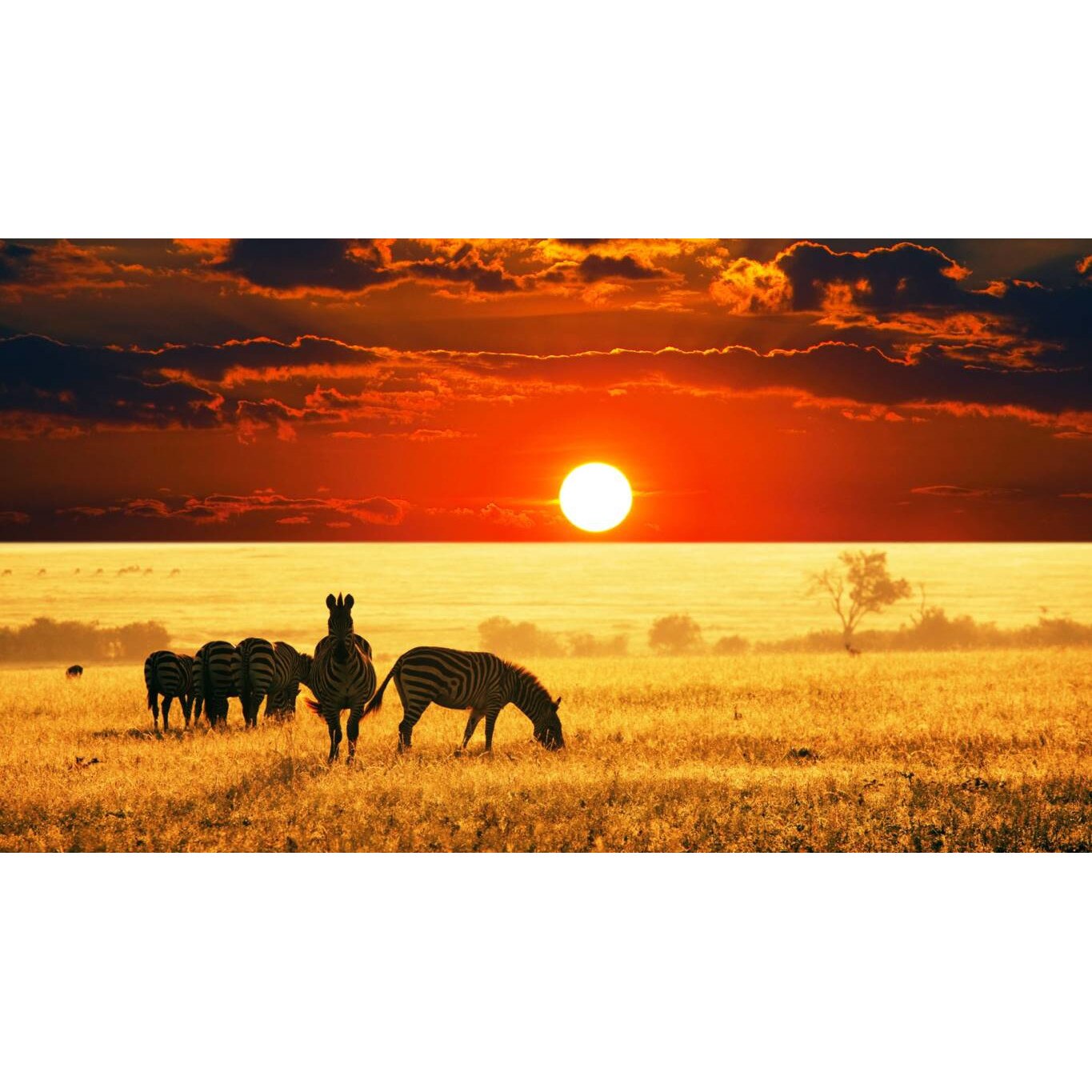 Tablou canvas 75x50 cm, Animale model 559