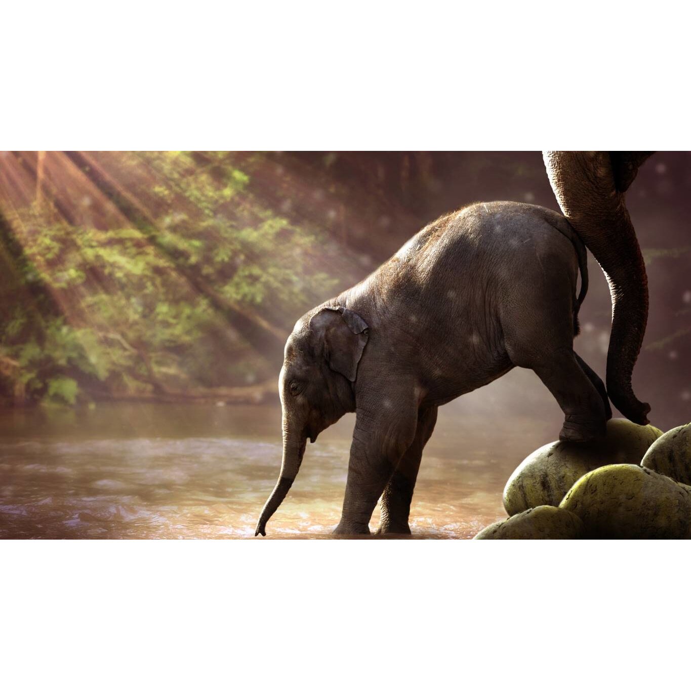 Tablou canvas 75x50 cm, Animale model 583