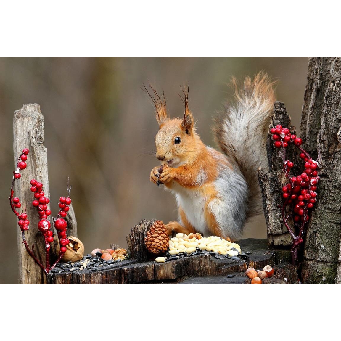 Tablou canvas 75x50 cm, Animale model 580