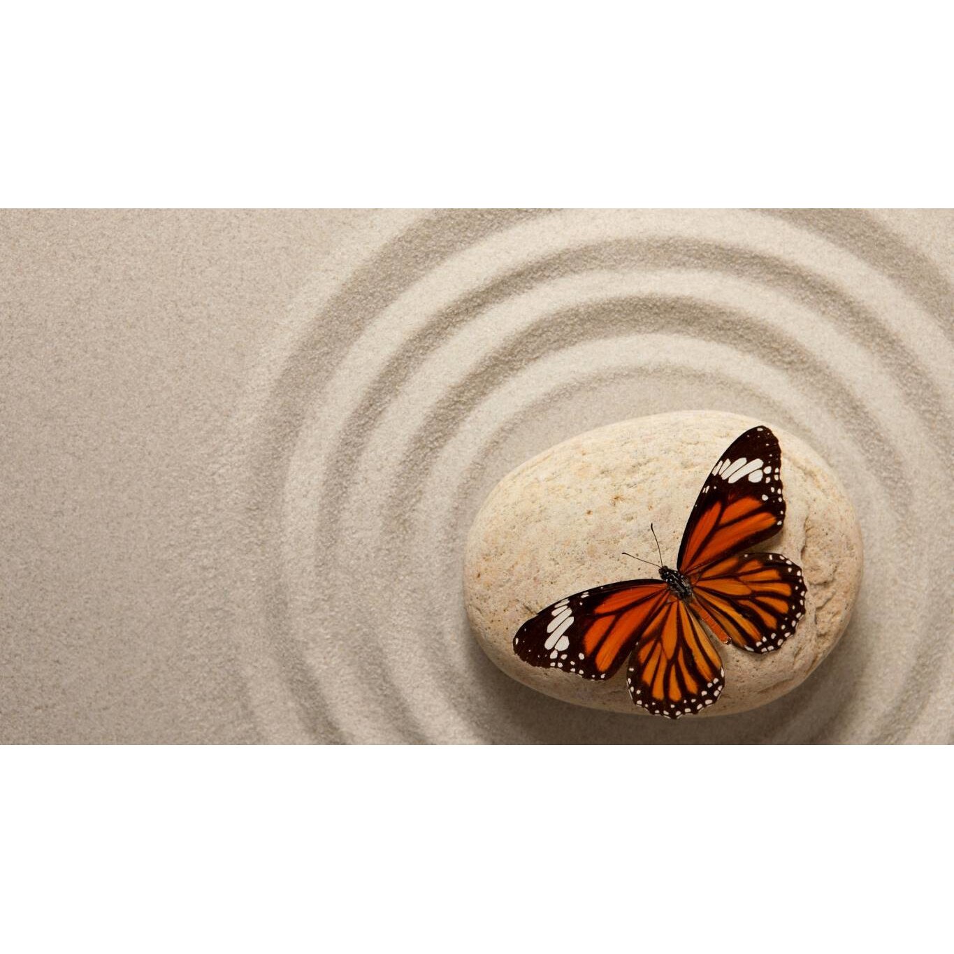 Tablou canvas 50x35 cm, Animale model 595