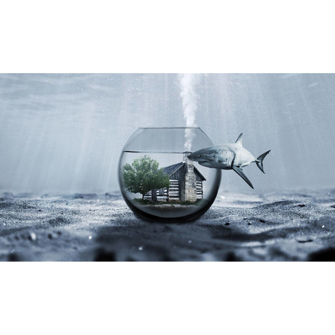 Tablou canvas 50x35 cm, Animale model 592