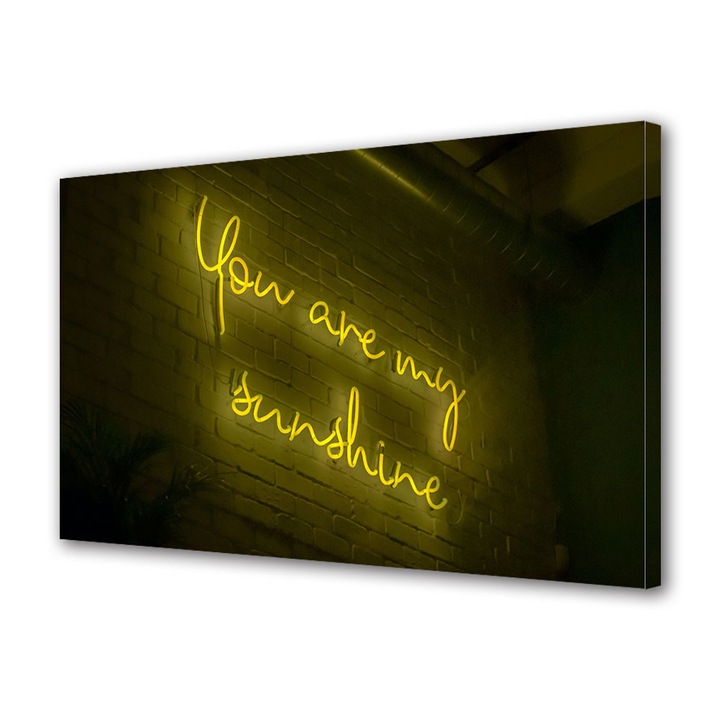 Tablou Canvas Led cu Intrerupator, Luminos in Intuneric, Premium, Art Star, You are my sunshine, Vintage, Panza pe cadru de lemn, Decoratiuni Moderne pentru Casa, 60 x 90 cm