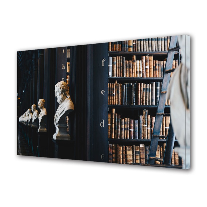 Tablou Canvas Led cu Intrerupator, Luminos in Intuneric, Premium, Art Star, Biblioteca vintage decorata cu statui, Vintage, Panza pe cadru de lemn, Decoratiuni Moderne pentru Casa, 40 x 60 cm